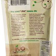 Jiva Organics USDA Organic Turmeric Powder (Curcumin), 7 Ounce